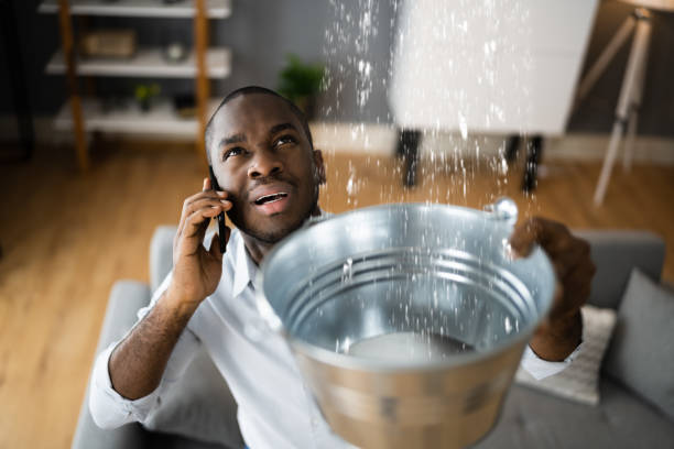 Best Basement water damage restoration  in Churchville, NY