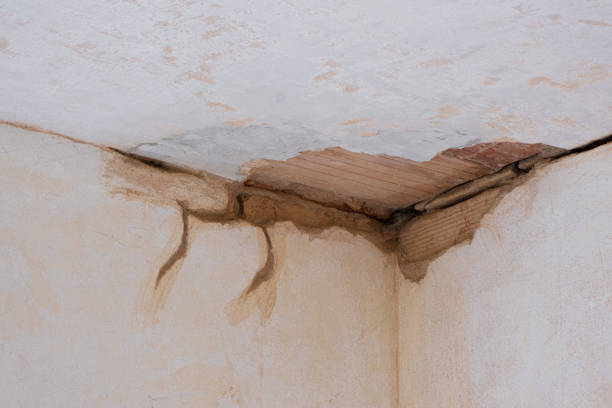  Churchville, NY Water damage restoration Pros