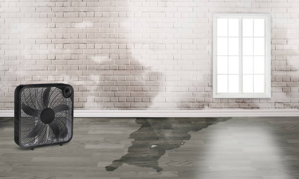 Best Water damage restoration services  in Churchville, NY