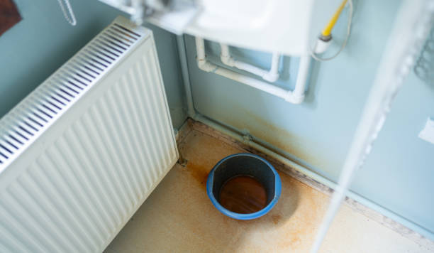Best Carpet water damage restoration  in Churchville, NY