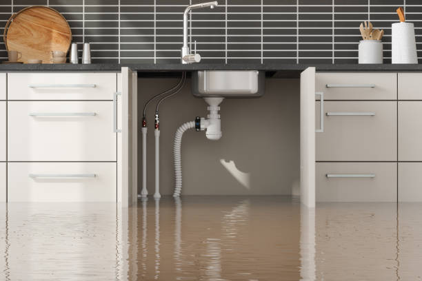 Best Basement water damage restoration  in Churchville, NY