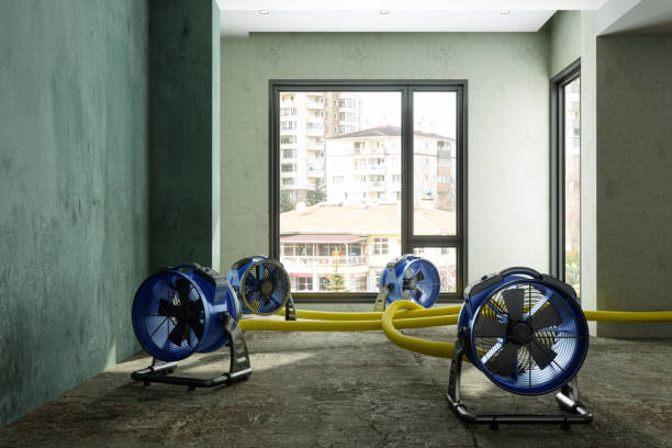 Best Water damage restoration near me  in Churchville, NY